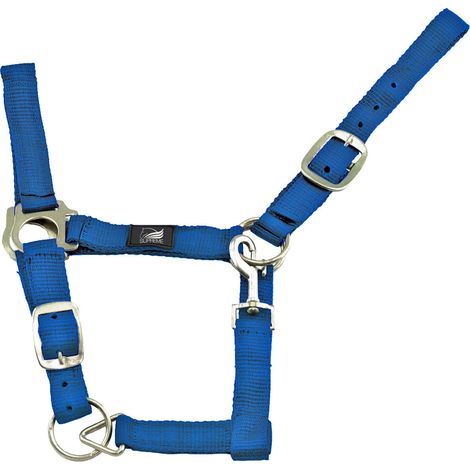 ROYAL BLUE taglia PONY Supreme Cavezza nylon doppia regolazione