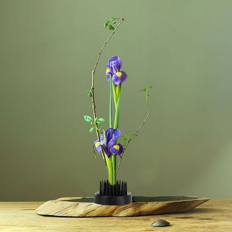 Support Ikebana Kenzan Plombé Noir Rond pour Composition Florale (34mm) (1/5)