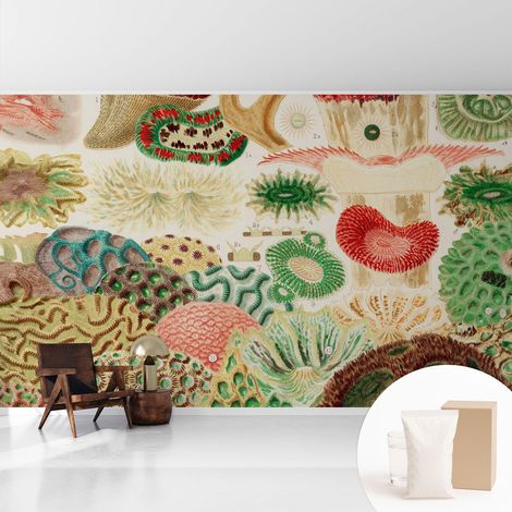 Papier peint intissé pour salon chambre à coucher peint imprimé Installation facile - Colle incluse gratuite Formes organiques 416x254 cm (1/5)