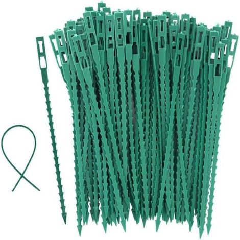 100 tuteurs à tomates, arbres et attaches de jardin - Attaches en plastique réutilisables pour le jardinage, vertes (1/3)