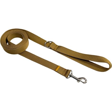 Correa para perro tradicional de 2 cm con cierre dorado Correa para perro tradicional de 2 cm con cierre dorado M - 1,5 m (1/4)