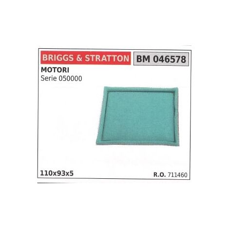 Luftfilter BRIGGS&STRATTON Rasenmäher mower mower SERIES 050000