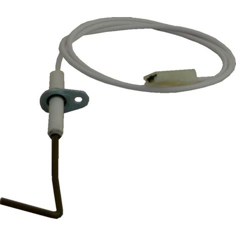 Wolf électrodes de surveillance 8902467 pour NG-4E (1/2)