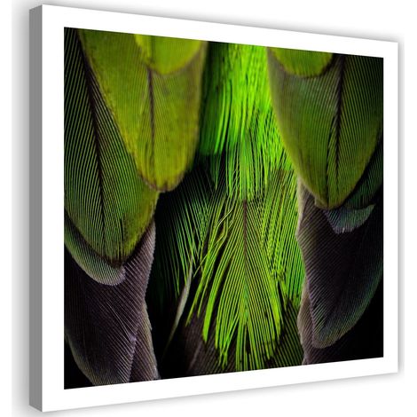 Quadro su tela, Piuma d'uccello verde - 30x30 (1/5)
