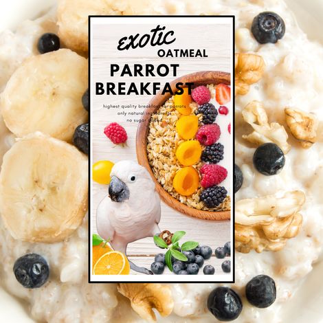 HOT EXOTIC OAT Parrot Breakfast - Porridge d'avena per pappagalli - un piatto caldo per la colazione o il pranzo per tutti i pappagalli 100 g (1/4)