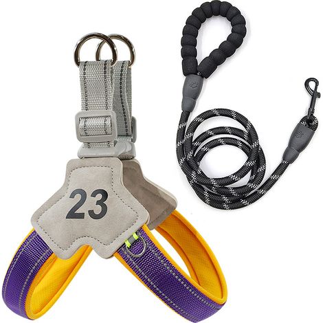 Harnais pour chien avec laisse de 1,5 m, réglable et respirant, doté de bandes réfléchissantes, idéal pour les promenades, les voyages ou l'entraînement en extérieur, taille XL, violet. (1/5)