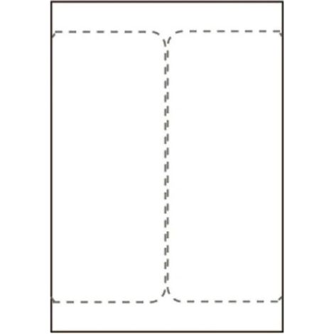 Etichette di spedizione 105 x 220 mm, per stampanti laser/getto d'inchiostro, 2 pezzi/foglio, 500 fogli/scatola, SHIPLABEL105X220-I2P