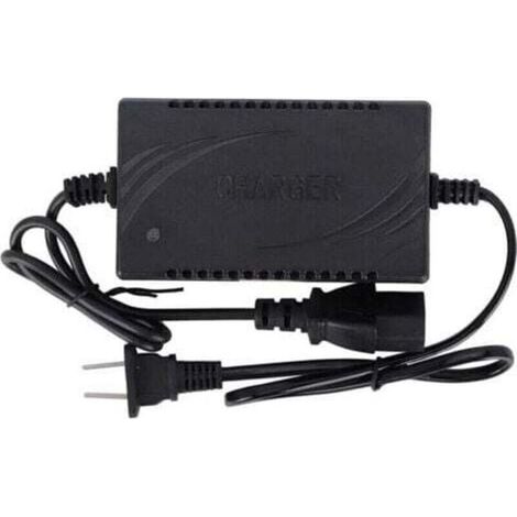 12V 1,8A Smart-Akkuladegerät Zubehör für 220V CN Elektrosprühgerät (1/5)