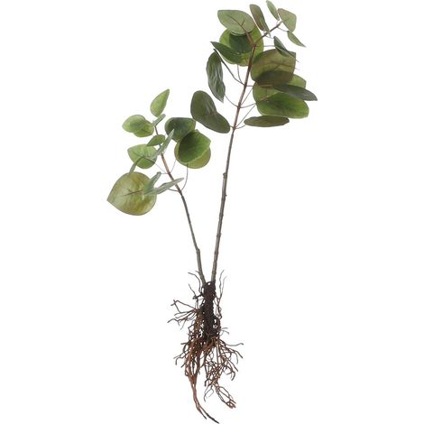 Mica Decorations Plante artificielle Vert H12xl28xL64cm (1/3)