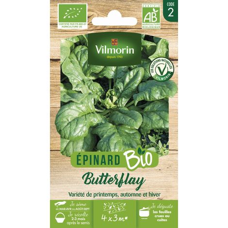 Epinard Butterflay - BIO Vilmorin (1/2)