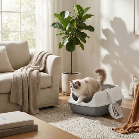 Bac à Litière pour Chat, Taille XXL, Dessus Ouvert, avec Pelle, pour Chatons et Grands Chats, Blanc (1/5)