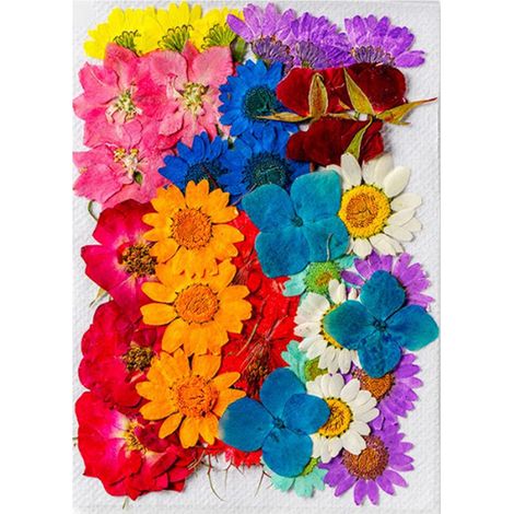 fleurs séchées de styles et couleurs assortis en matière