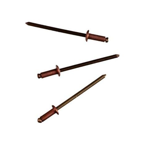 Connex COXT197308 Rivets borgnes en Cuivre/Bronze, Brun/or, 3,2 x 8 mm, Set de 50 Pieces