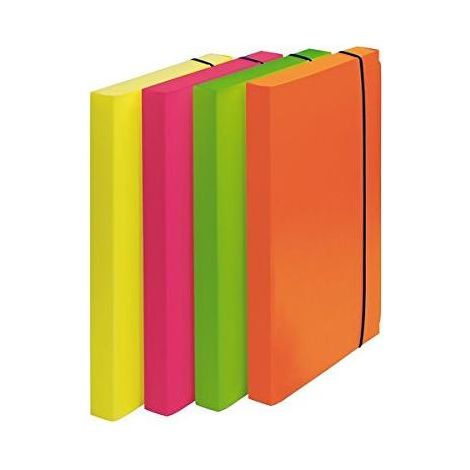 Fellowes 1028101 carpeta Polipropileno (PP) Multicolor A4