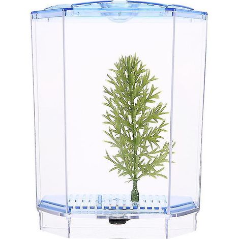 1 Stück kleines Aquarium für Zuhause