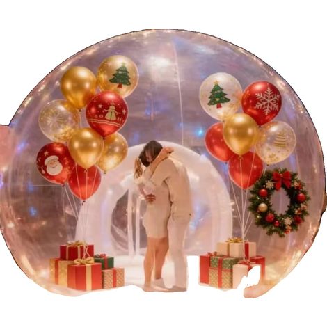 Maison Bulle, Design Transparent, Parfait pour les Événements, souffleur de 2,5 m de diamètre (1/2)