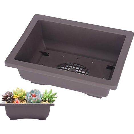Pot pour plantes grasses rectangulaire - Drainage - Renforcé - 1 Pièce - Pour intérieur et balcon (1/5)