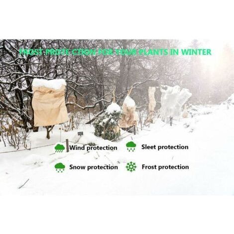 Voile d'hivernage,Hivernage Plante,240 X200 cm, Housse Hivernage pour Plantes, Voile Dhivernage, Housse d’Hivernage Arbre, Housse hivernage Palmier Con Ajustable avec Cordon de Serrage à Glissi (1/3)