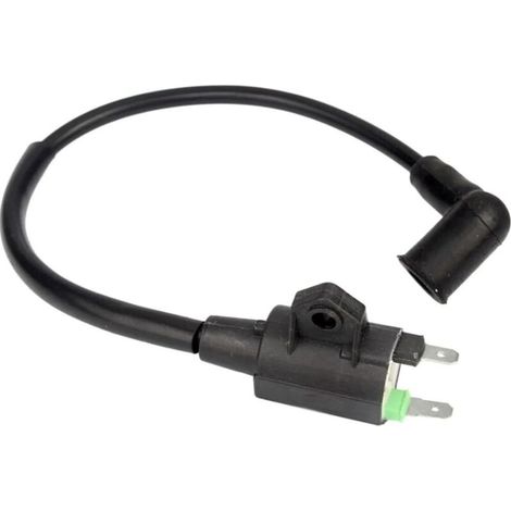 Générateur à essence ET950 ET650, pack haute tension, bobine d'allumage, sac haute tension, accessoires pour générateur (1/4)