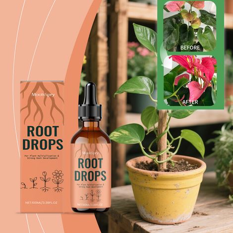 Wurzelstärkungslösung für Pflanzen – Praktische Nachfülllösung für die Wurzelpflege von Zimmer- und Gartenpflanzen – 100 ml -- BIEMMEDUE (1/5)