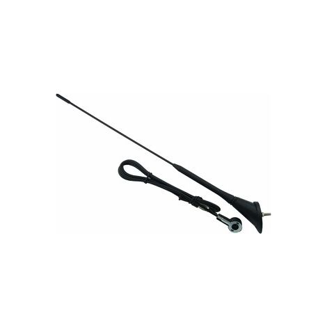 Antenna da tetto Carcommerce con asta flessibile a frusta da 41 cm AM FM