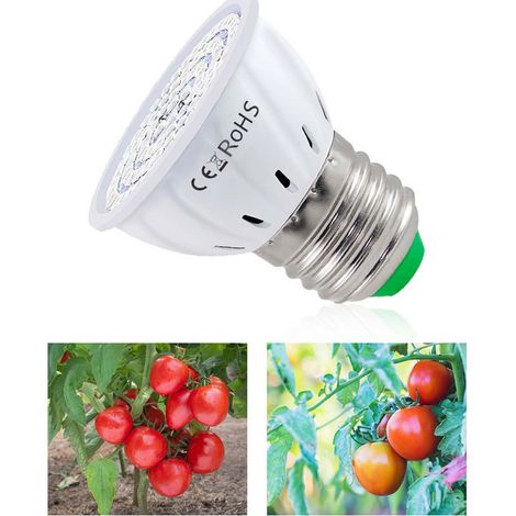 Lampe De Croissance Led - 30 W - Spectre Complet - Base E27 - Pour Plantes D'intérieur Serre Jardin Potager Succulentes - 1 Pièce (1/5)