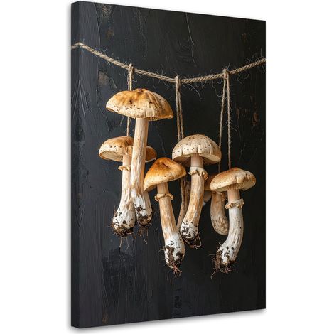 Stampe su Tela, Funghi porcini essiccati, 20x30 (1/5)
