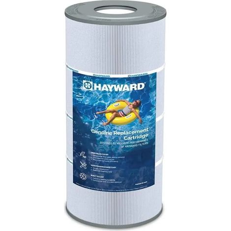 Cartuccia di ricambio Hayward CX100XRE.