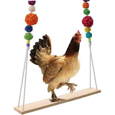 Balancelle En Bois - 100 x 40 x 6,5 cm - Pour Poules Perruches Perroquets Ara - Jouet Élevage Volailles - 1 Pièce (1/5)