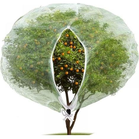 Filet anti-insectes et anti-oiseaux (80 x 80 cm) avec fermeture éclair, filet anti-insectes de jardin pour protéger les plantes, les fruits et les fleurs des insectes (1/5)