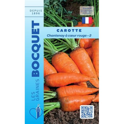 Carotte Chantenay à cœur rouge-3 - 7g
