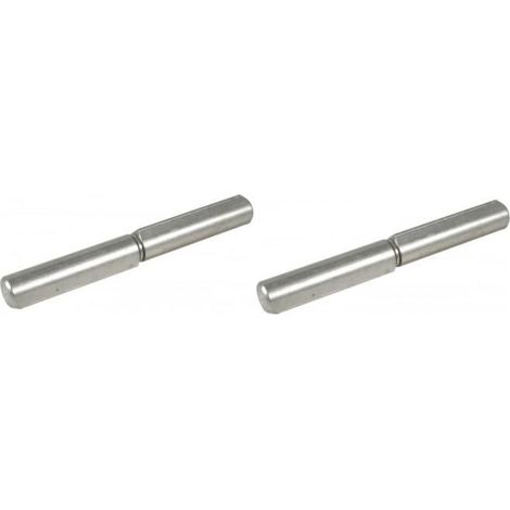 Scharnier 80mm Inox-profil