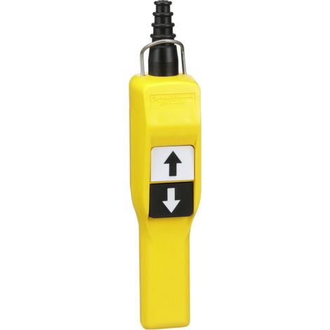 Harmony XACA Pistol grip - boîte pendante - 2 poussoirs (XACA201)
