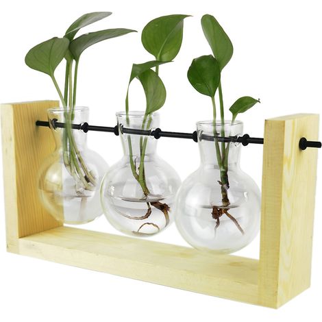 Terrario hidropónico con soporte de madera para plantas, mini jarrones decorativos de cristal (25×12×5,3 cm, color bronce caqui, 3 bombillas). (1/5)