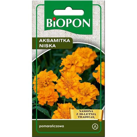 Graines zwilling aksamitka niska pomaranczowa soleil facile à cultiver (1/3)