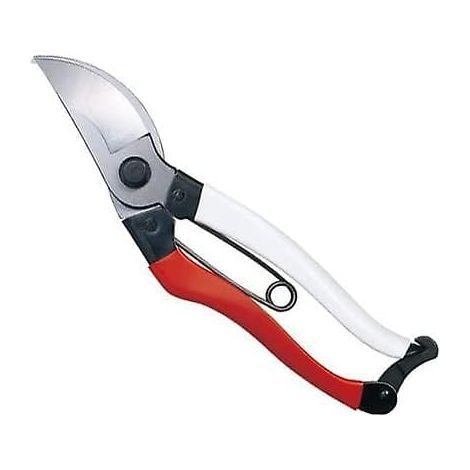 Ecleanfy - Sécateur court à lames croisées - Ciseaux de jardin 18 cm - Importation japonaise