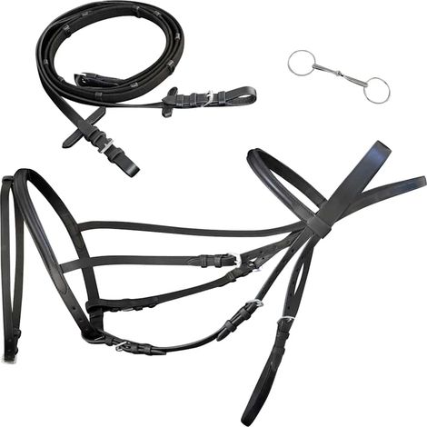 vidaXL Brida Flash de Cuero Negro con Riendas y Bocado (Estándar) (1/5)