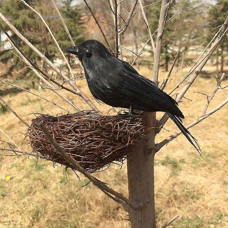 Corbeau noir artificiel réaliste, plume de corbeau, accessoire de décoration pour Halloween - Noir, 16 cm (1/3)