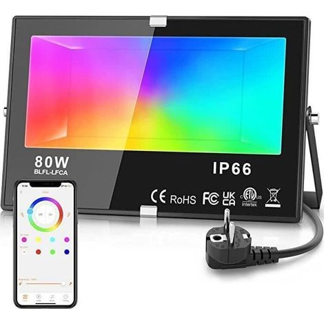 Projecteur LED extérieur - NETBOAT - RGB 80W - 16M couleurs -6000k+2700K - IP66 étanche (1/4)