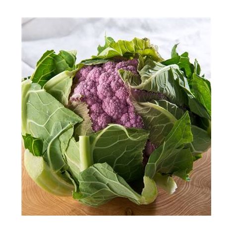 CHOU FLEUR PARMAC HF1 - 75 GRAINES