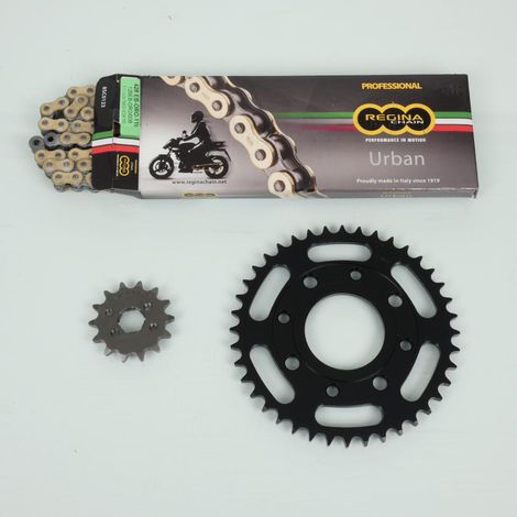 Regina-Kettenkit für Daelim 100 Altino Motorräder von 1999 bis (1/3)
