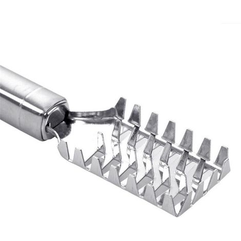 Brosse à Écailles en Acier Inoxydable - Grattoir Nettoyant pour Poisson - Outil de Cuisine (1/5)
