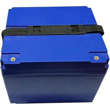 Boîtiers d'alimentation pour batteries 60V 20A/72V 20A LiFePO4 LiMn2O4 LiCoO2 - Fabricants (1/5)