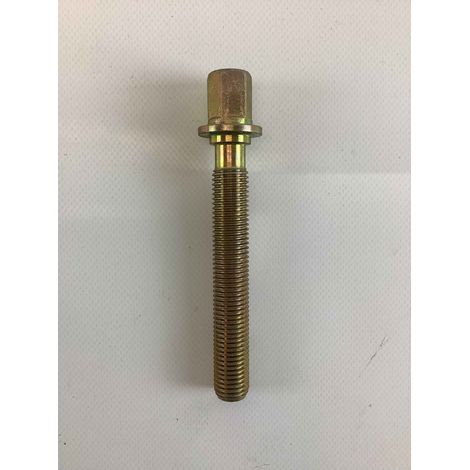Vite regolazione M16X100 ORIGINALE GOLDONI 00000248 (1/2)