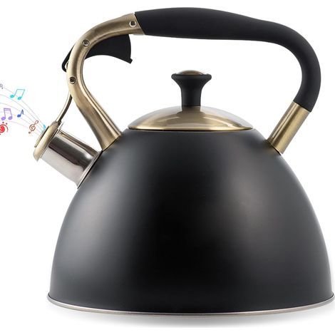 Induction Kettle - 3 L - Stainless Steel - With Automatic Whistle - Tea and Coffee Kettle - Retro Style - For Electric and Gas Hobs - Black (1/5)
