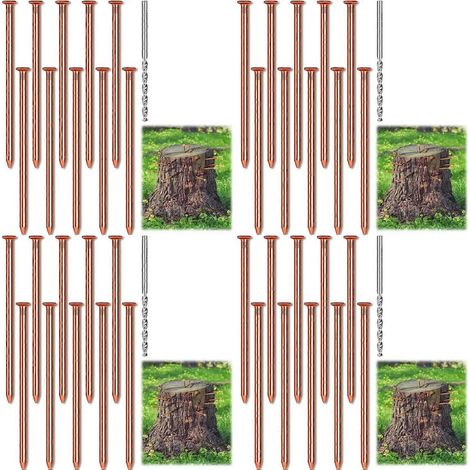 Lot de 40 clous en cuivre pour l'élimination des souches d'arbres, clous en cuivre pur de 8 cm de long, avec foret, pointes pour l'enlèvement des souches (1/5)
