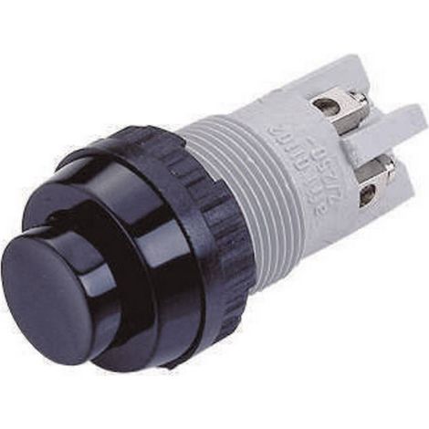 Interruptor Rafi 101102011.0301 250 V AC 2 A
