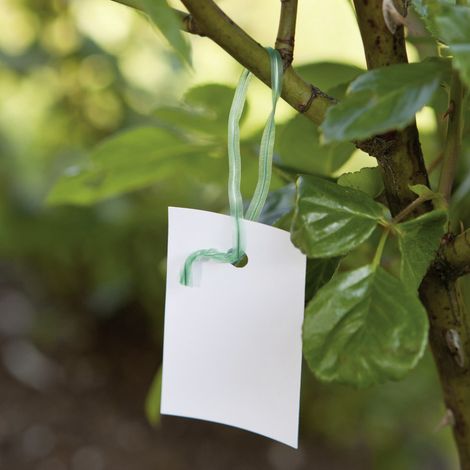 Windhager Drehbinder 15 cm, 100 Stück Gartendraht