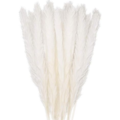 30 pcs Herbe de la Pampa, 58 cm Naturel Pampa Fleur Bouquet de Fleurs Sechees pour Vases, Blanc Boho Decoration Chambre Maison Salon, Mariage Photographier Table Décoration (1/4)
