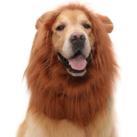 Disfraz de león para mascotas marrón S x 3 modelo 16